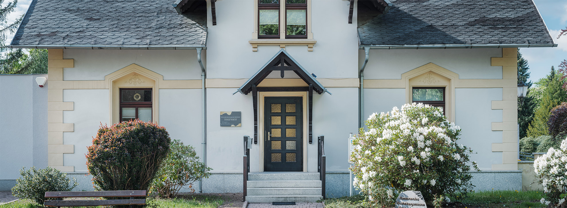 die Waldwiese wird von der Sonne beleuchtet